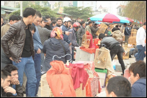 People look busy to pick up a caged bird