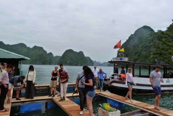 gray-line-halong-cruise