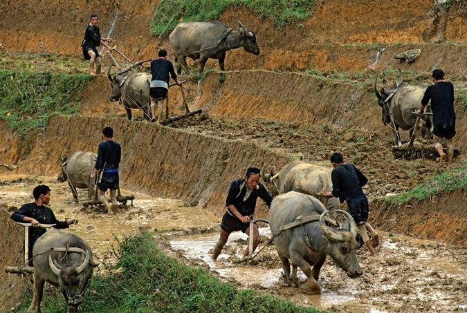 explore-northwest-vietnam