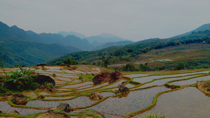 Puluong-Nature-Reserve (5)