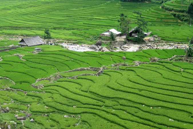 sapa-lao-cai-vietnam