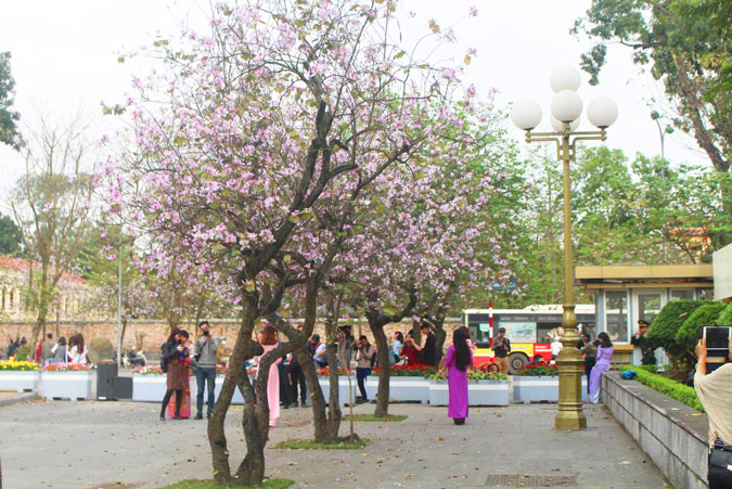 streets-in-hanoi (15)