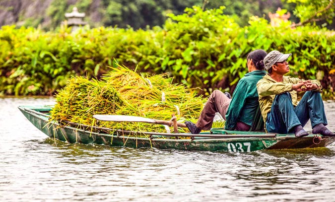 tam-coc-rice-field-ninh-binh-10