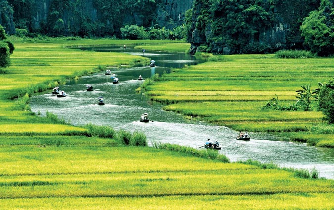 tam-coc-rice-field-ninh-binh-8