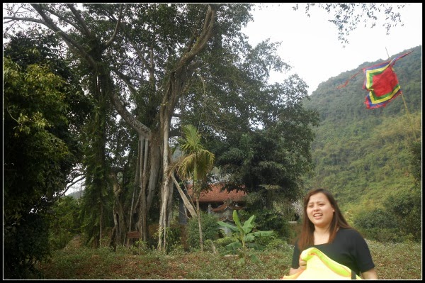 The moving banyan tree