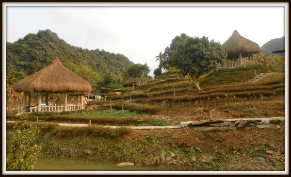 Thung Nham Orchard